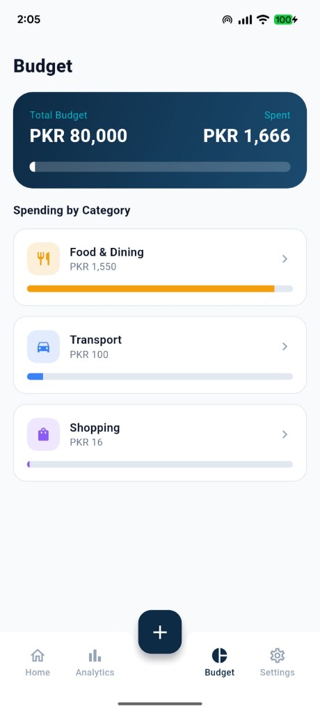 Budget screen with category limits